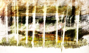 entrance to the Blythe valley